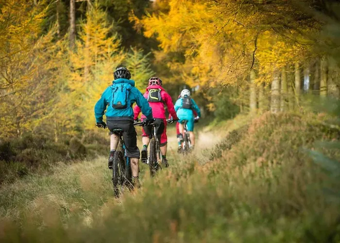 Chalet High Oaks Grange - Pickering