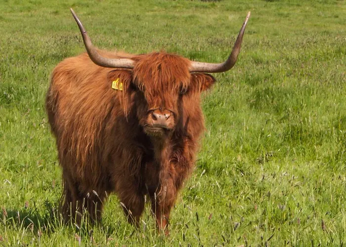 Horská chata High Oaks Grange - Pickering